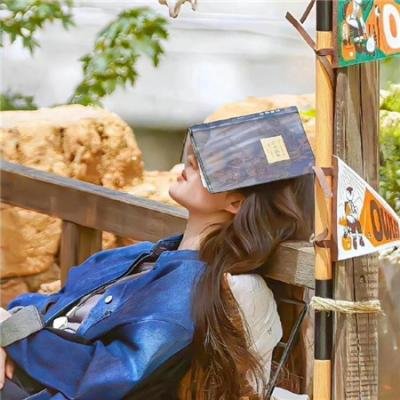 至爱梵高:不可能之梦